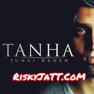 Download Tanha Junai Kaden mp3 song, Tanha Junai Kaden full album download