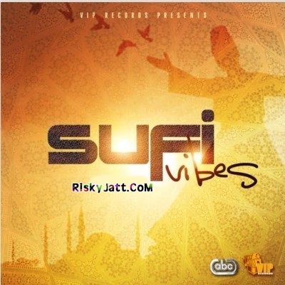 Download Ruk Ja Mahi Ali Abbas mp3 song, Sufi Vibes Ali Abbas full album download