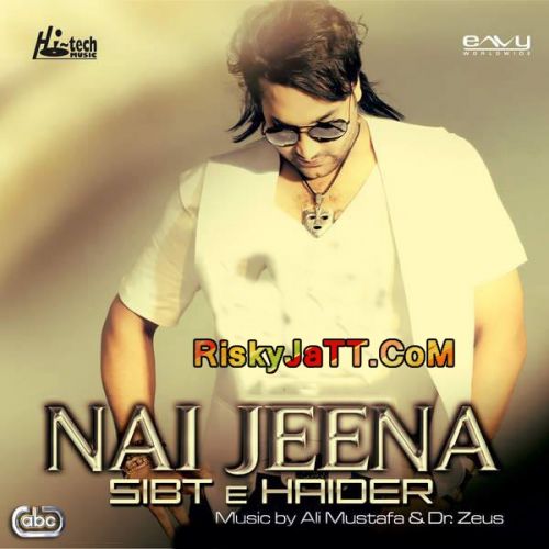 Download Lagay Na Ye Dil Sibt E Haider mp3 song, Nai Jeena Sibt E Haider full album download