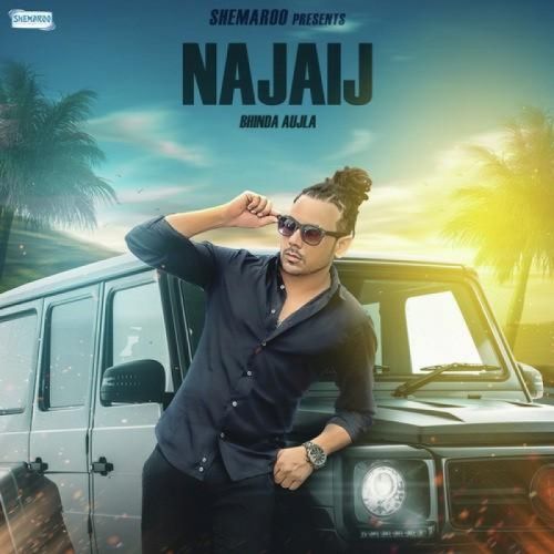 Download Najaij Bhinda Aujla mp3 song, Najaij Bhinda Aujla full album download