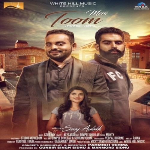 Download Meri Toom Sony Aulakh mp3 song, Meri Toom Sony Aulakh full album download