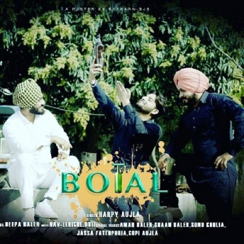 Download Botal Harpy Aujla mp3 song, Botal Harpy Aujla full album download