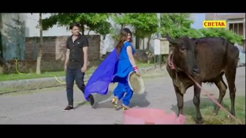 Download Kit Ka Lagya Pani Jaji King, Sonal Khatri mp3 song, Kit Ka Lagya Pani Jaji King, Sonal Khatri full album download