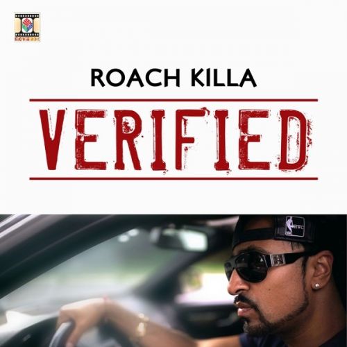 Download Shooting Star Roach Killa , Shivankur Vashist mp3 song, Verified Roach Killa , Shivankur Vashist full album download