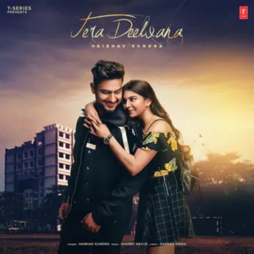 Download Tera Deewana Vaibhav kundra mp3 song, Tera Deewana Vaibhav kundra full album download