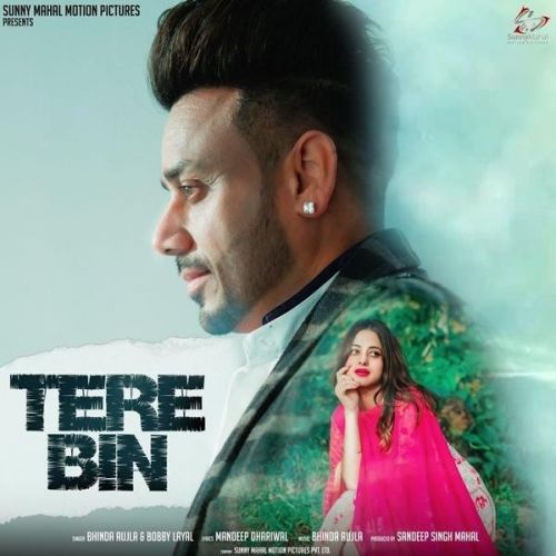 Download Tere Bin Bhinda Aujla mp3 song, Tere Bin Bhinda Aujla full album download