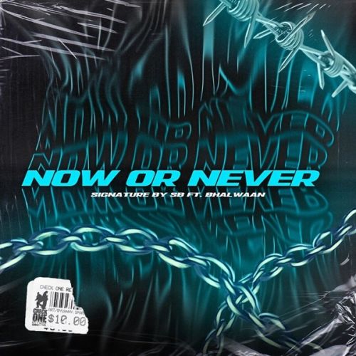 Now Or Never By Bhalwaan full album mp3 free download 