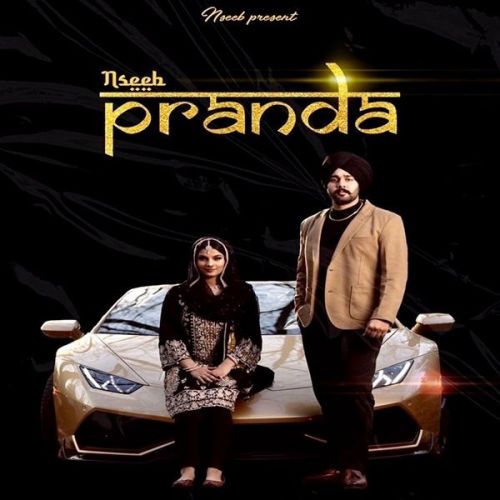 Download Paranda Nseeb mp3 song, Paranda Nseeb full album download