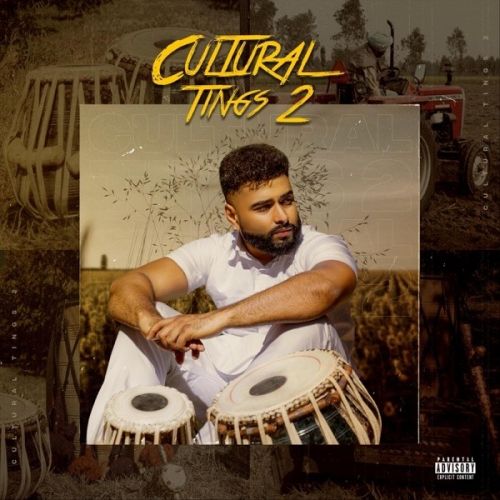 Download Cant Let You Go [Bonus] AK, Akal Inder mp3 song, Cultural Tings 2 AK, Akal Inder full album download