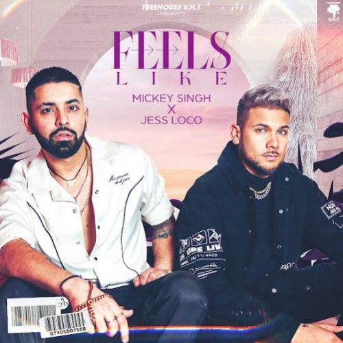 Download Feels Like Mickey Singh mp3 song, Feels Like Mickey Singh full album download