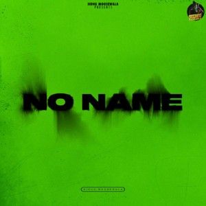 No Name By Sidhu Moose Wala full album mp3 free download 