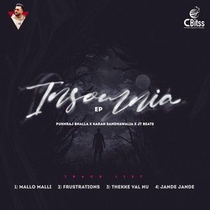 Download Jande Jande Pukhraj Bhalla mp3 song, Insomnia - EP Pukhraj Bhalla full album download