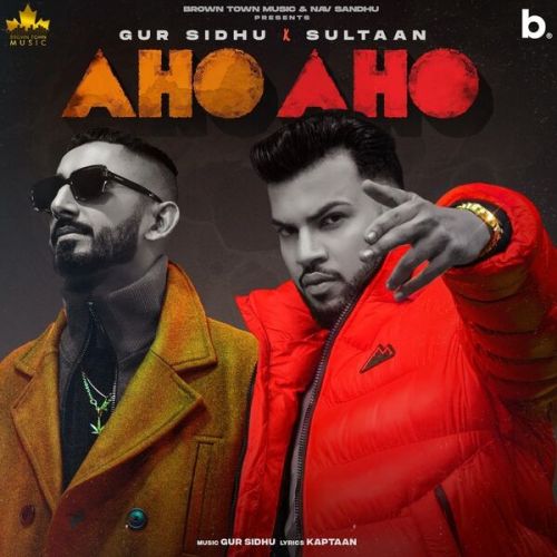 Download Aho Aho Gur Sidhu, Sultaan mp3 song, Aho Aho Gur Sidhu, Sultaan full album download