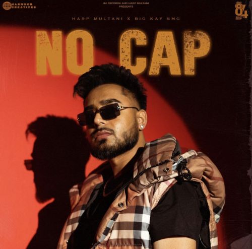 Download No Cap Harp Multani mp3 song, No Cap Harp Multani full album download