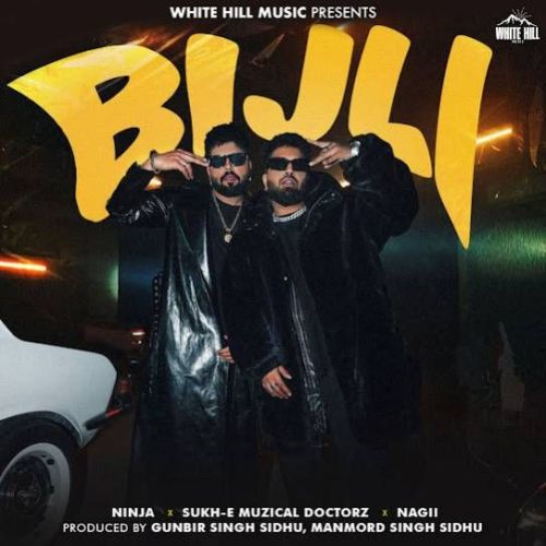 Download Bijli Ninja mp3 song, Bijli Ninja full album download