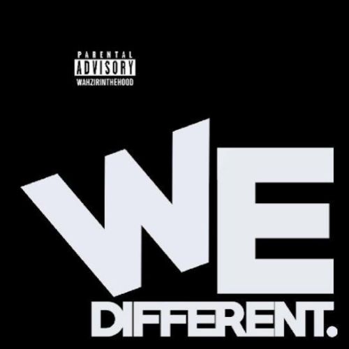 Download We Different Wazir Patar mp3 song, We Different Wazir Patar full album download