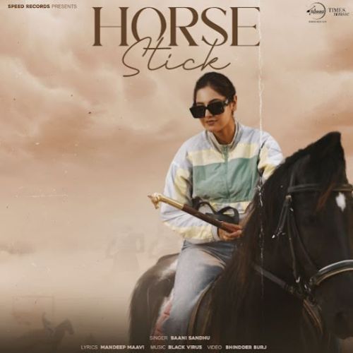 Download Horse Stick Baani Sandhu mp3 song, Horse Stick Baani Sandhu full album download