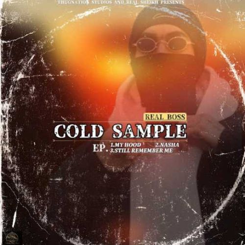Download My Hood Real Boss mp3 song, COLD SAMPLE Real Boss full album download