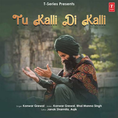 Download Mehndi Kanwar Grewal mp3 song, Tu Kalli Di Kalli Kanwar Grewal full album download