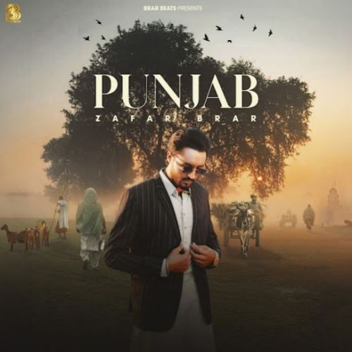 Download Punjab Zafar Brar mp3 song, Punjab Zafar Brar full album download